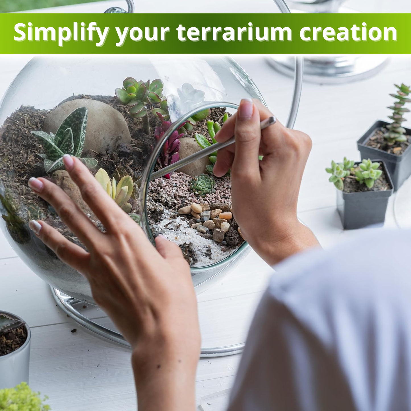 Recycle Terrarium Kit