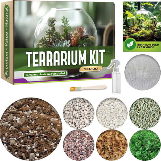 Recycle Terrarium Kit