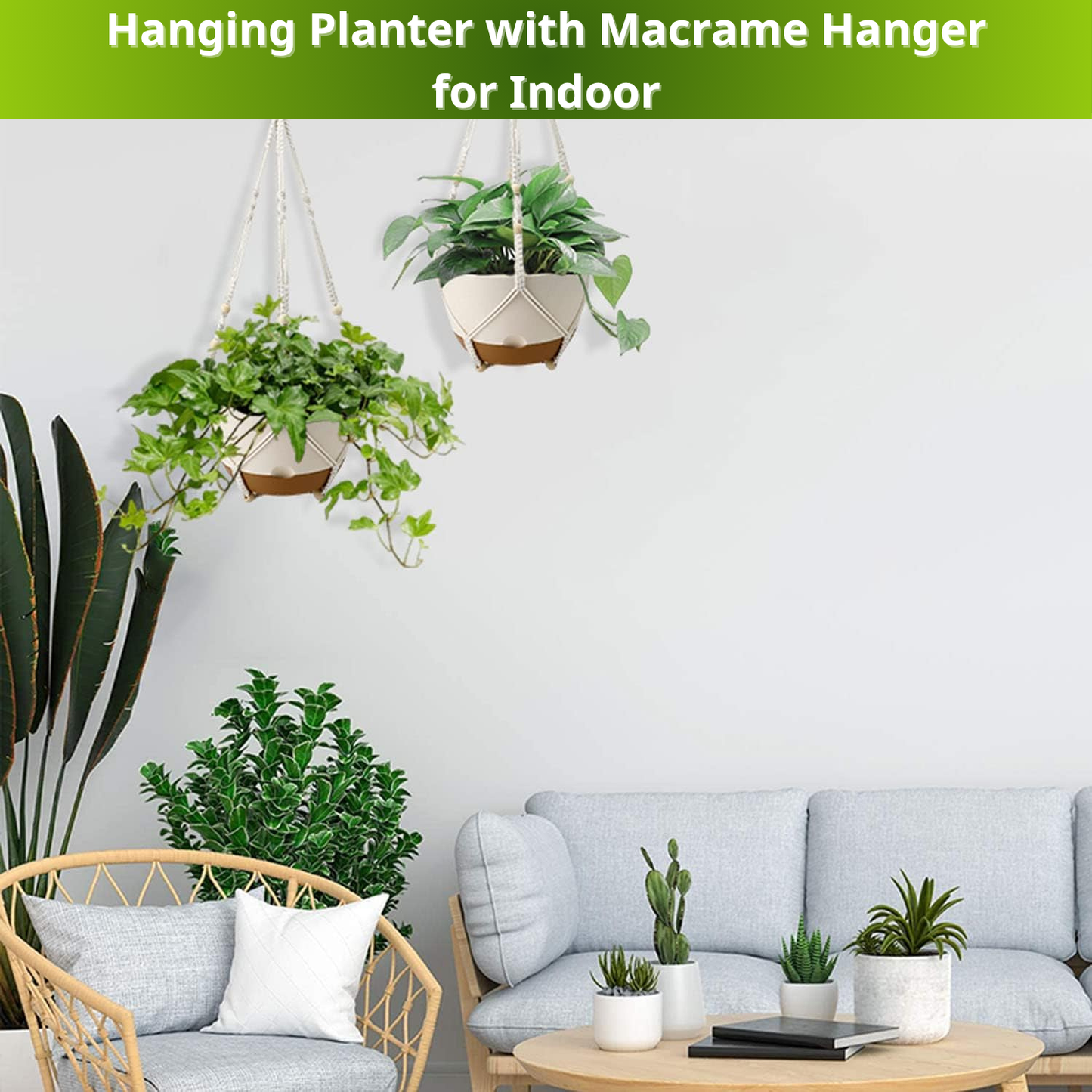 DIY Hanging Planter