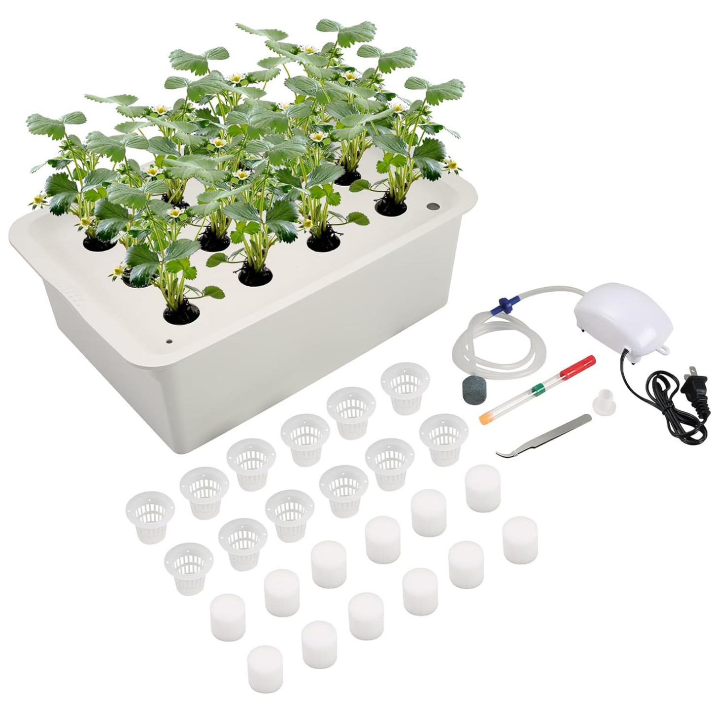 Mini Hydroponic Kit