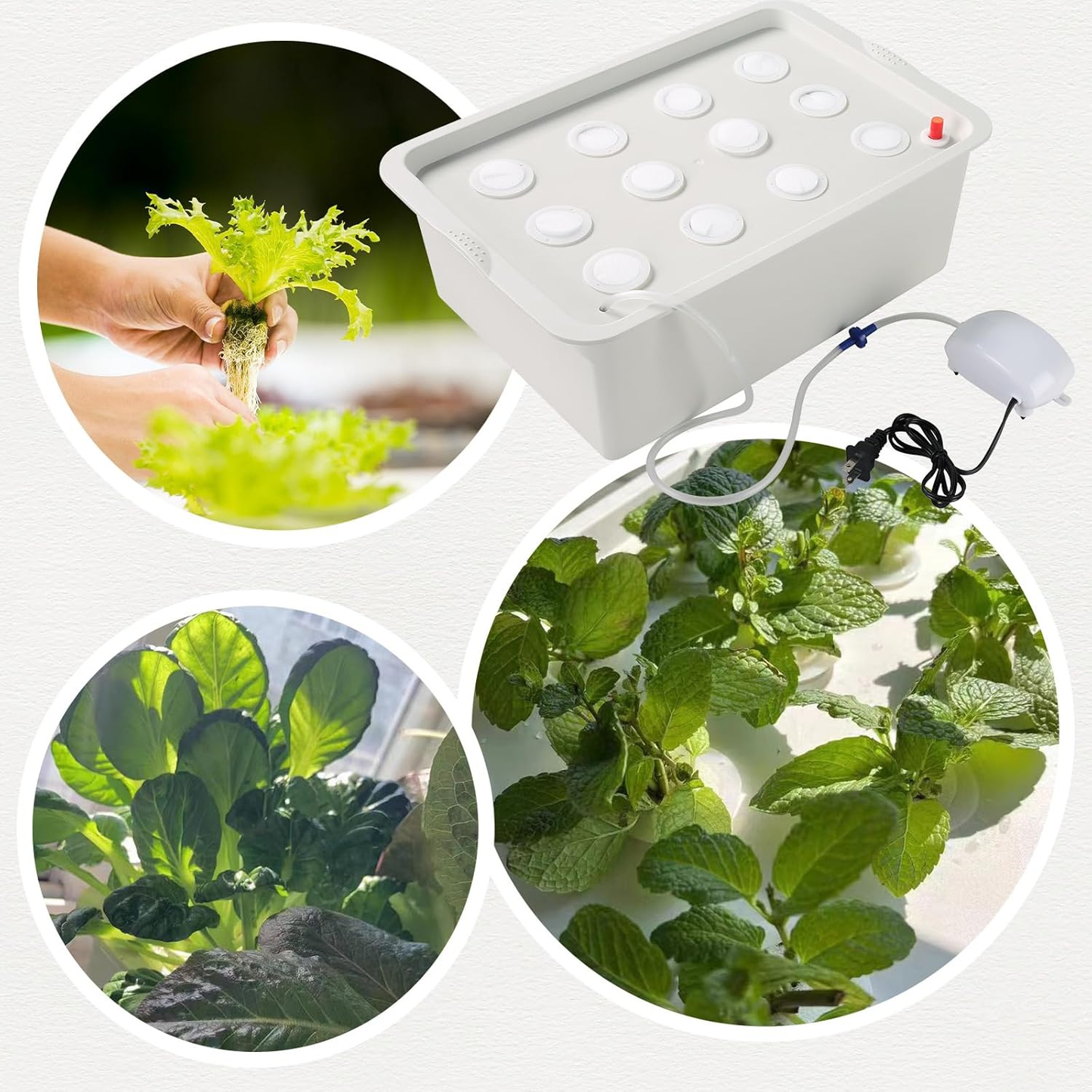 Mini Hydroponic Kit