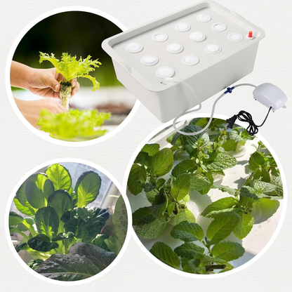 Mini Hydroponic Kit