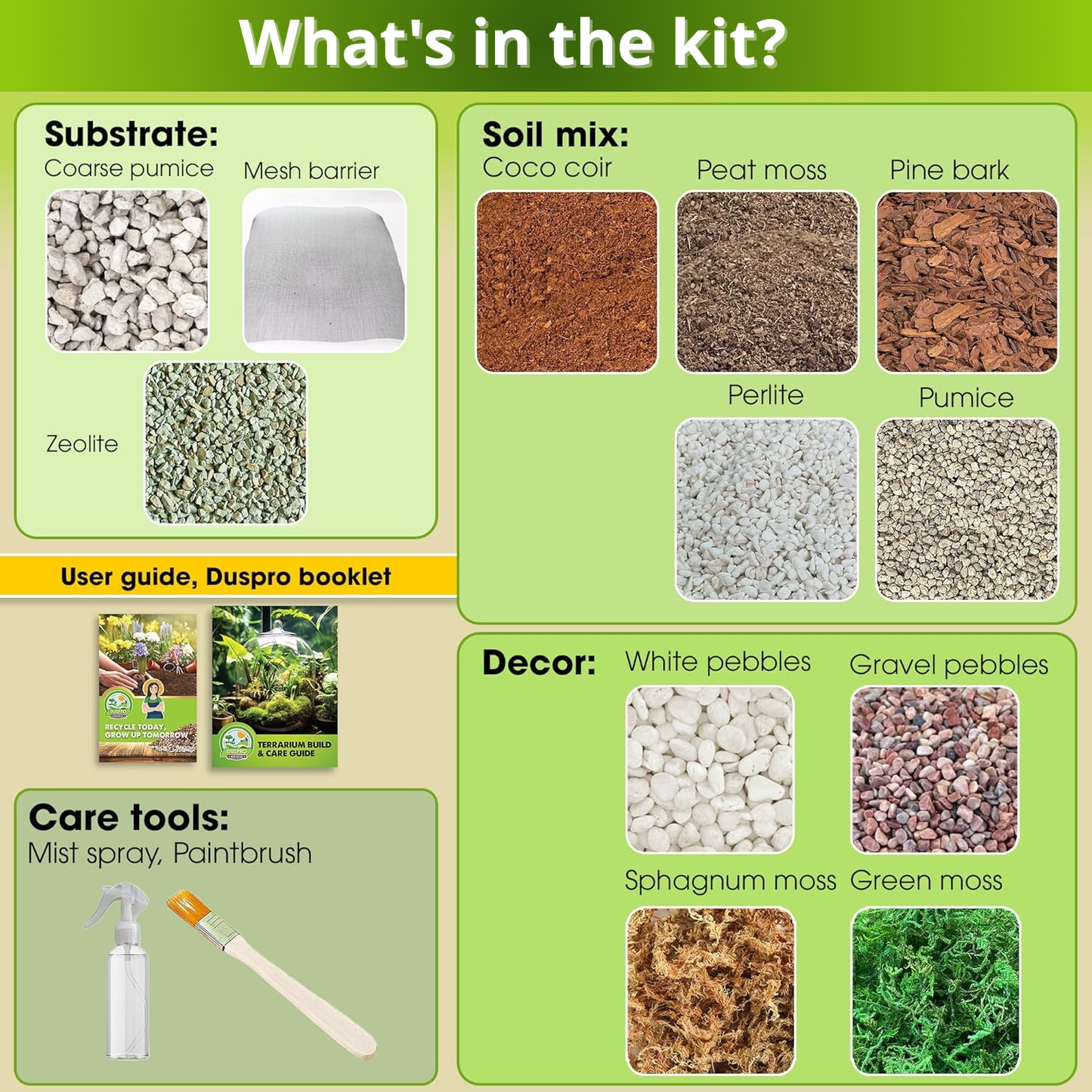 Recycle Terrarium Kit