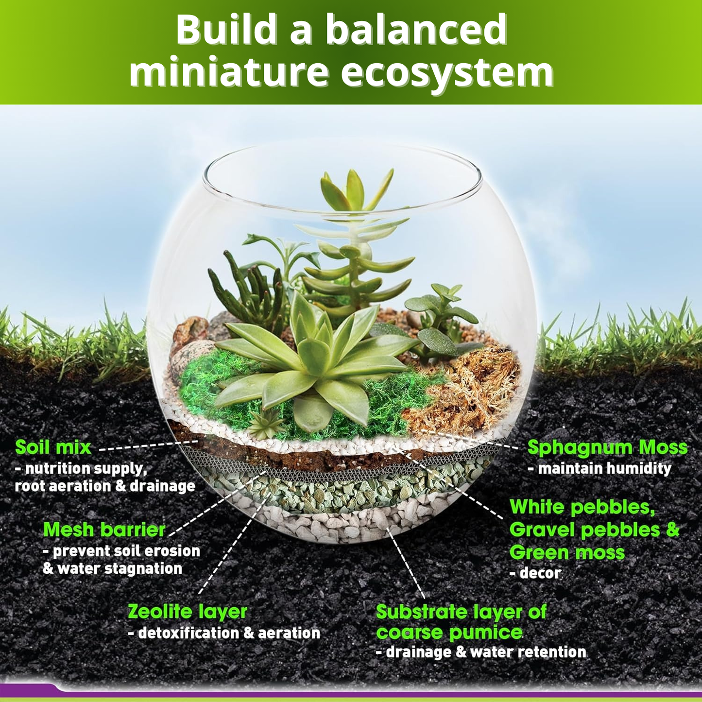 Recycle Terrarium Kit