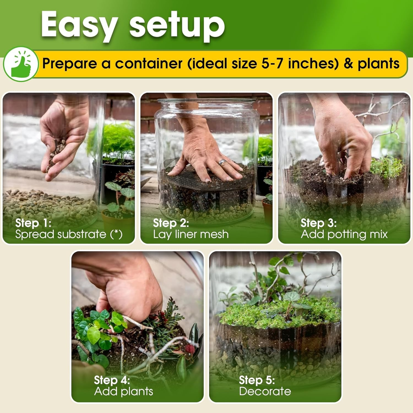 Recycle Terrarium Kit