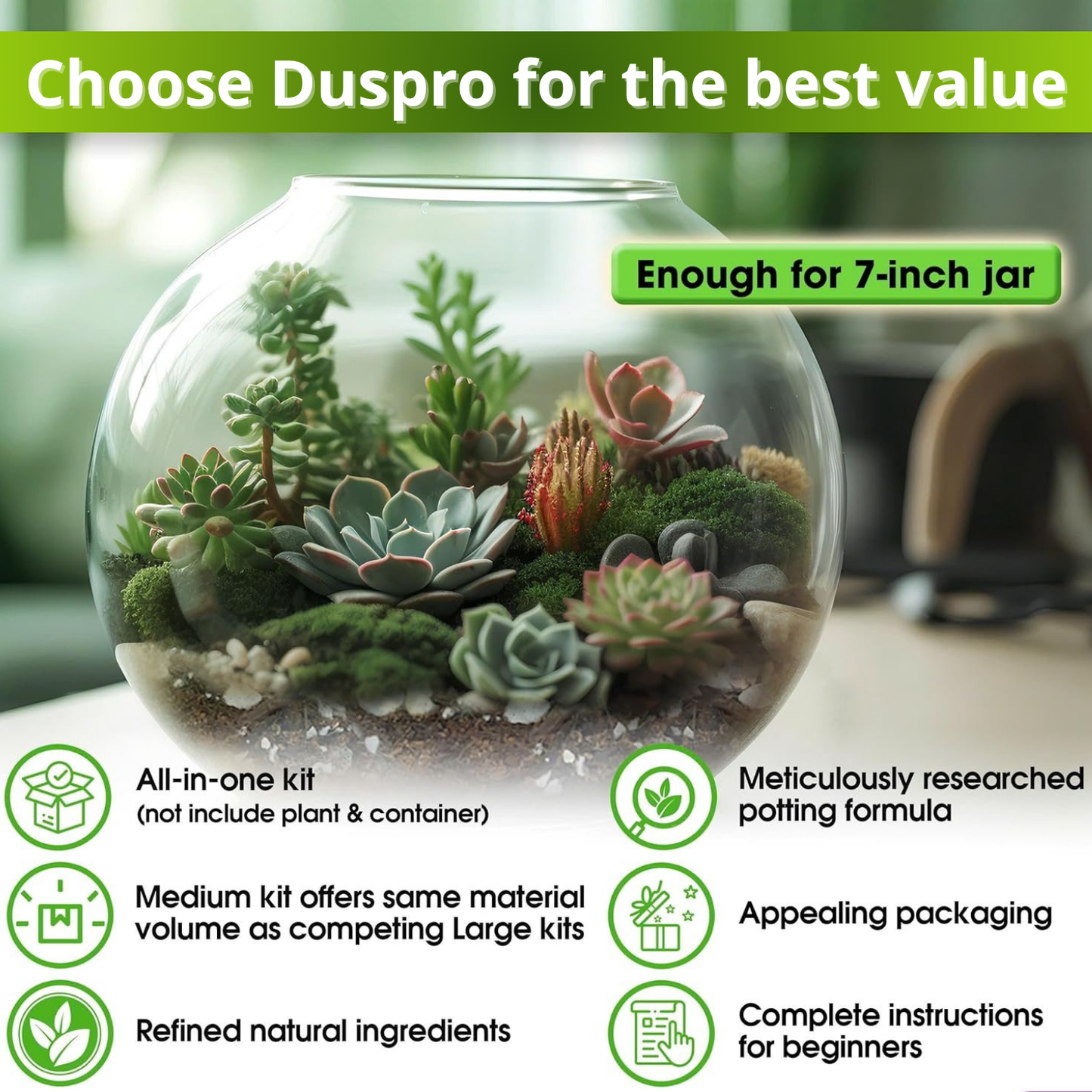 Recycle Terrarium Kit